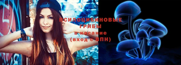 гашик Аркадак