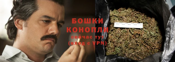 PSILOCYBIN Зерноград