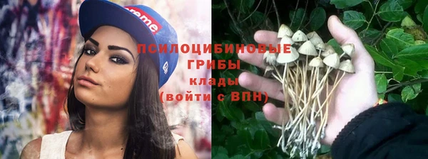 гашик Аркадак
