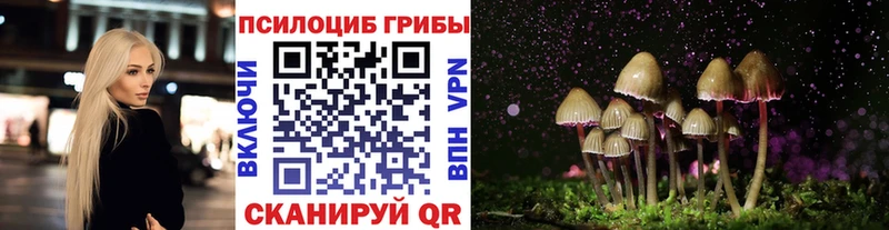 Галлюциногенные грибы Psilocybe Серов