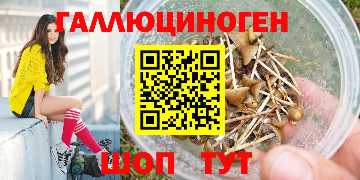 наркотики  Псилоцибиновые грибы Cubensis  Вход с VPN  Серов 